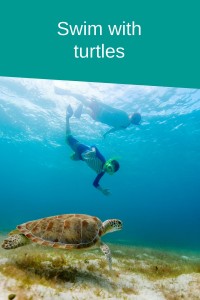 swim with turtles final